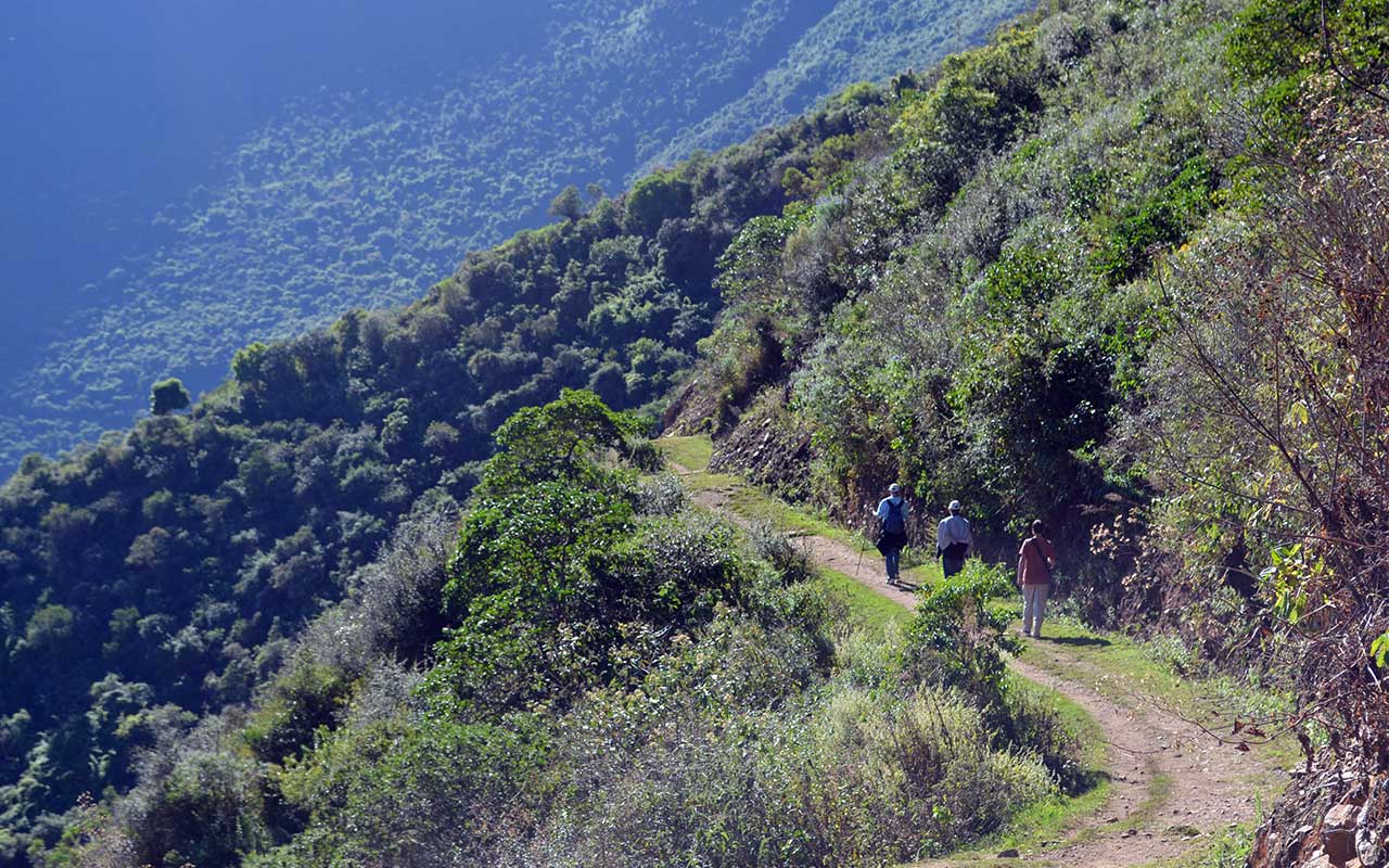 Choquequirao Trek 4 days - Trekking