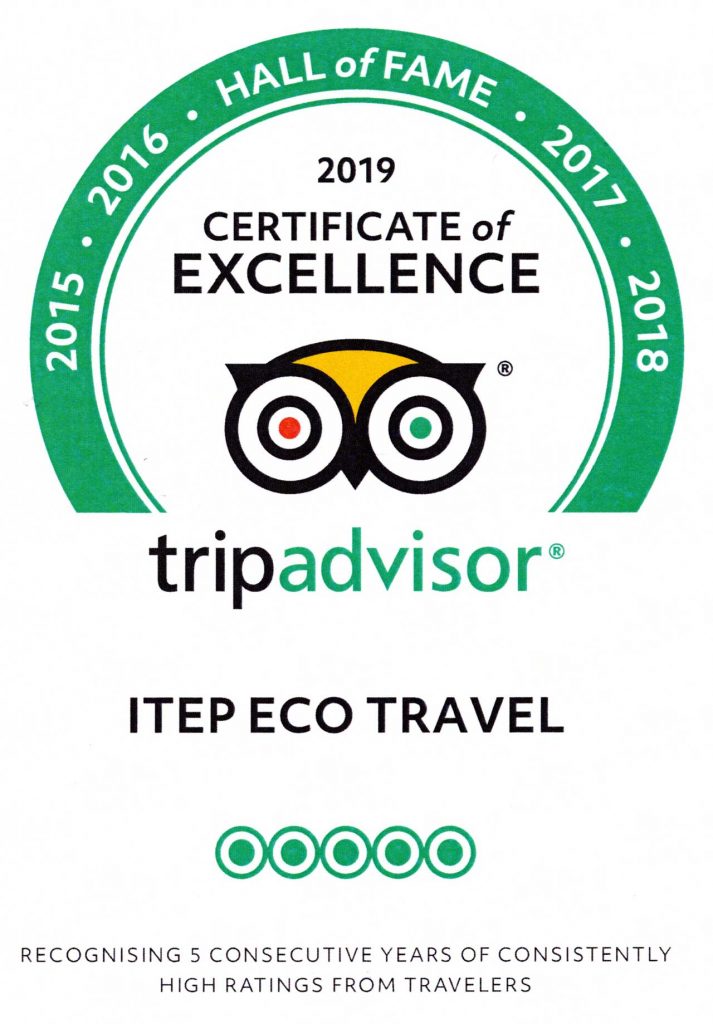 Hall of Fame - Tripadvisor