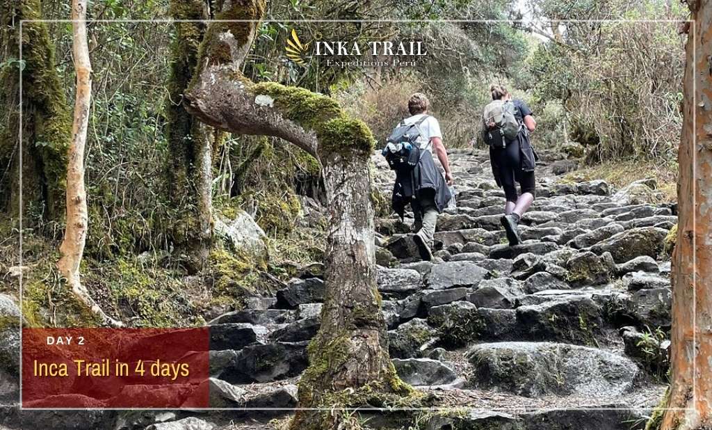 4 day Inca Trail starting on Dec 16th 2022 - 4 day Inca Trail starting on Dec 16th 2022