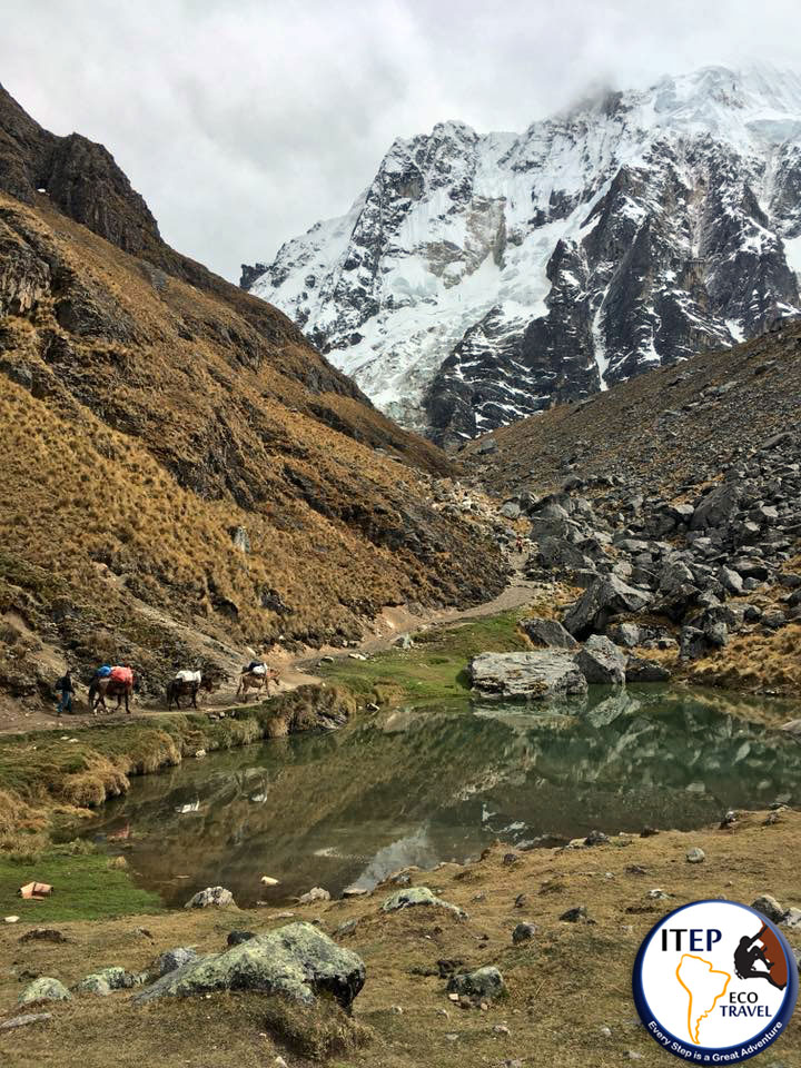 Mountain Swing on Salkantay Trek - Mountain Swing on Salkantay Trek