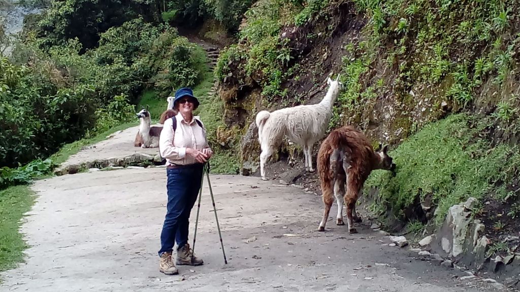 Salkantay and Inca Trail in 6 days by Elizabeth Gordon - Salkantay and Inca Trail in 6 days by Elizabeth Gordon