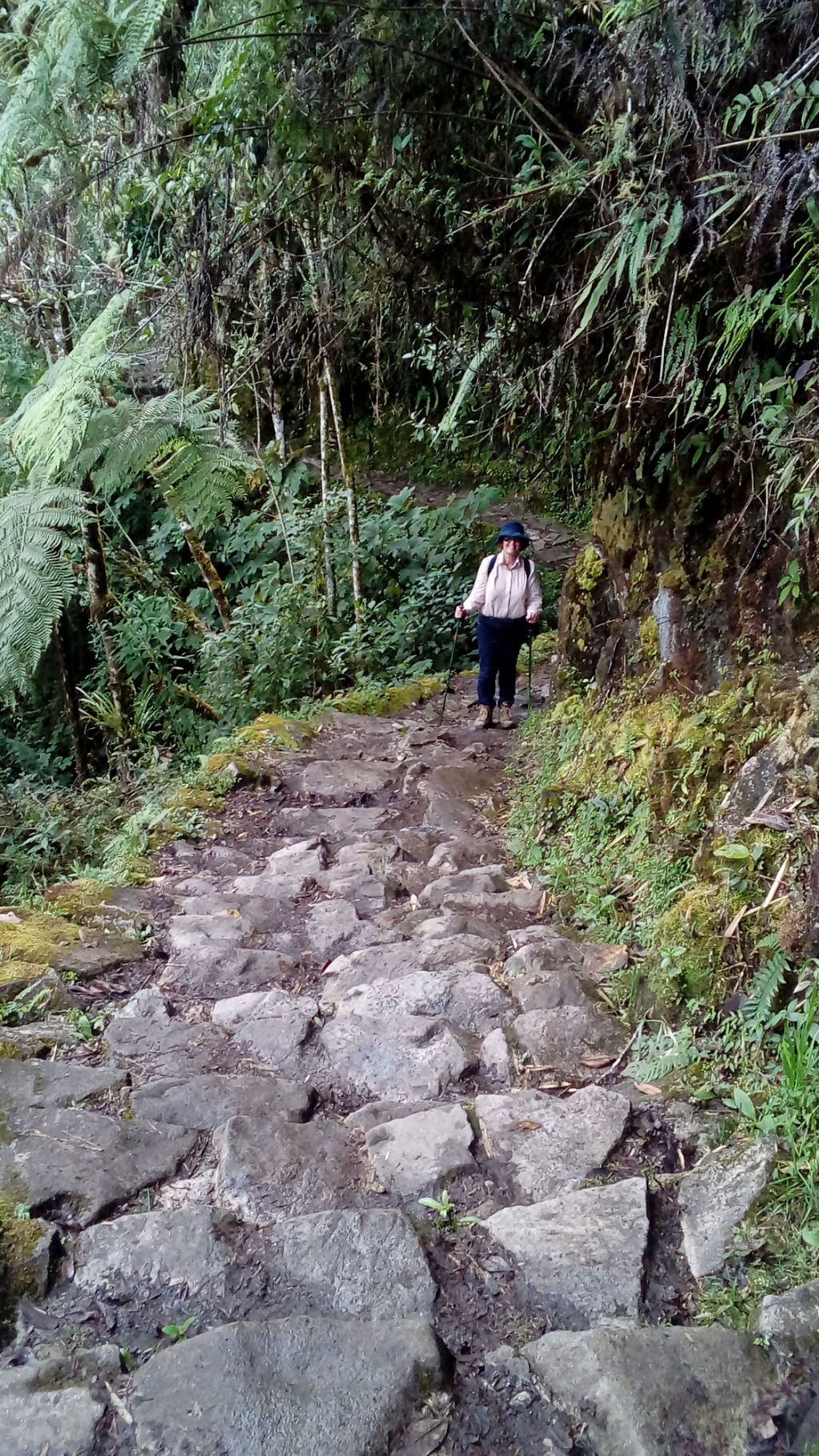 Salkantay and Inca Trail in 6 days by Elizabeth Gordon - Salkantay and Inca Trail in 6 days by Elizabeth Gordon