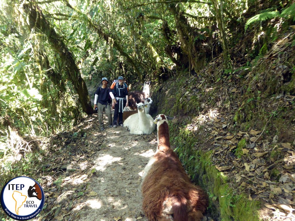 Salkantay and Inca Trail in 7 days by Jeffrey Heim - Salkantay and Inca Trail in 7 days by Jeffrey Heim