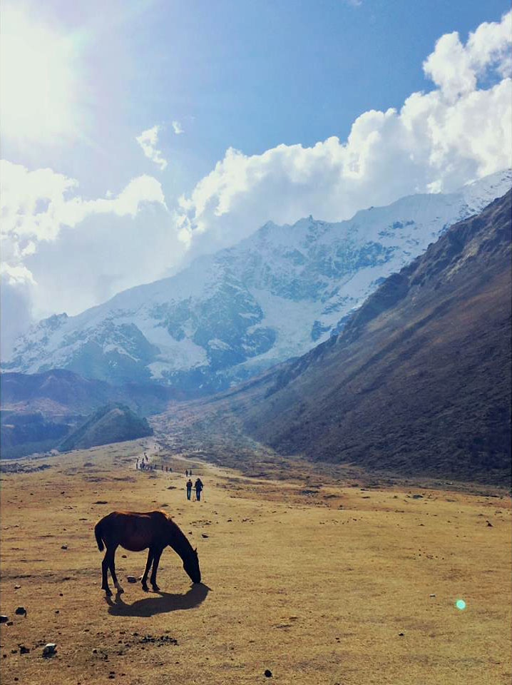 Salkantay Trek in 4 days by Derek Ellens - Salkantay Trek in 4 days by Derek Ellens