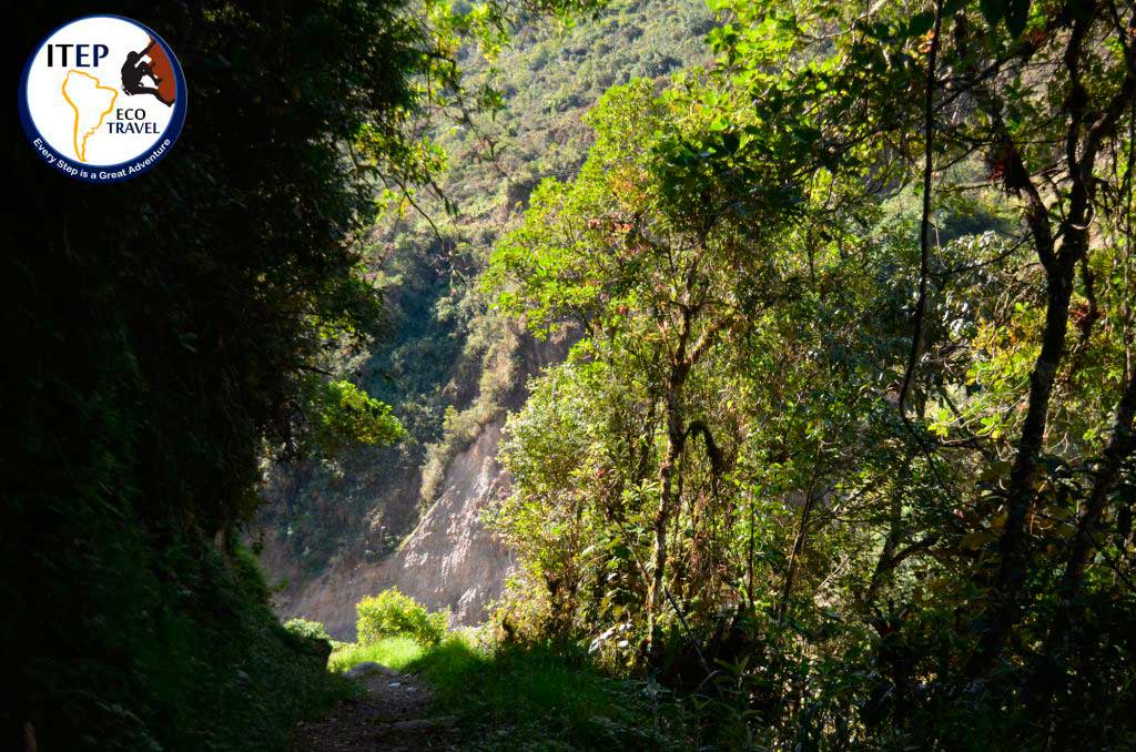 Salkantay Trek in 5 days - Zac Fischer - Santiago - Salkantay Trek in 5 days - Zac Fischer - Santiago