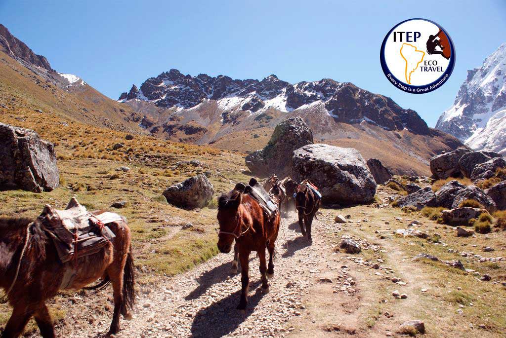 Salkantay Trek in 5 days - Salkantay Trek in 5 days