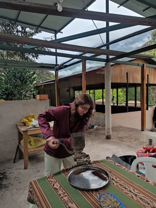Coffe tour in Lucmabamba - 2-day Inca Trail by Llaqtapata starting on August 25th 2026