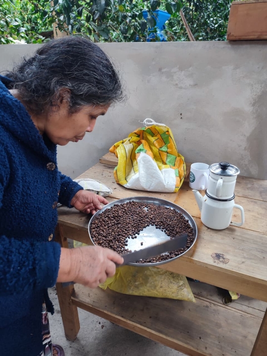 Coffe tour in Lucmabamba - 2-day Inca Trail by Llaqtapata starting on August 25th 2026