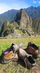 Classic view of Machu Picchu