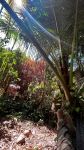 Hacienda in the Inca jungle
