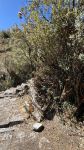Inca Trail