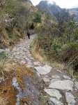 Inca Trail road