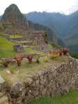 Machu Picchu tour