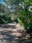 Trekking from Hidroeléctrica to Aguas Calientes