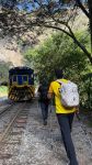 Trekking from Hydroelectric to Machu Picchu