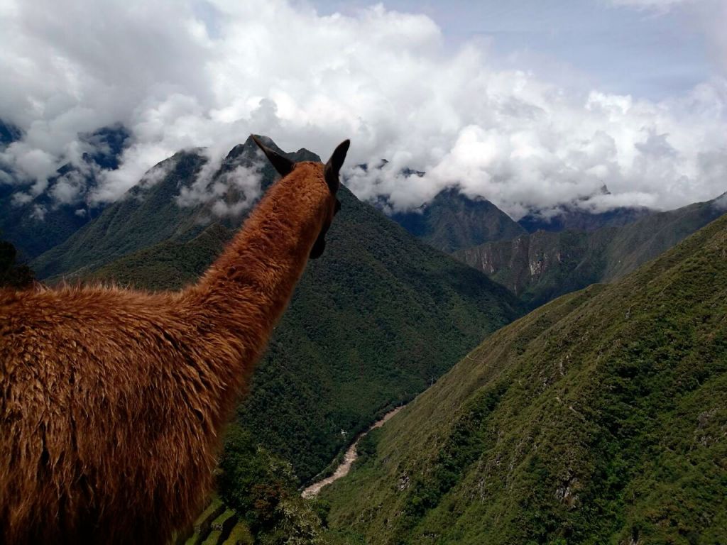 Fantastic Adventure - Inca Jungle Trek to Machu Picchu in 4 days
