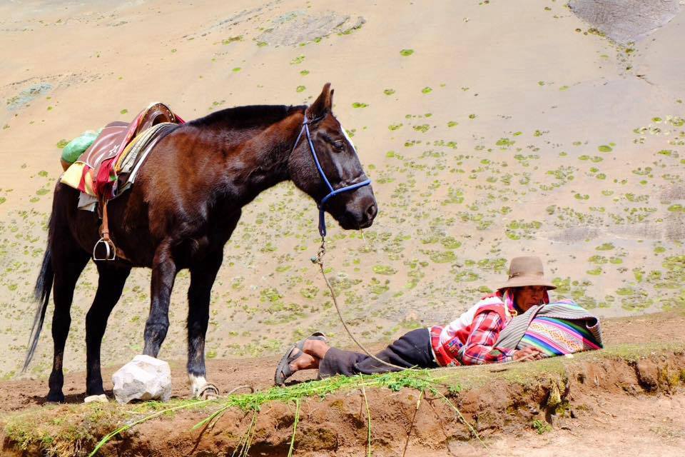 The tour was very good overall - Lares Trek to Machu Picchu in 4 days