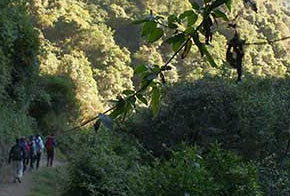 Cusco and Salkantay Explorer