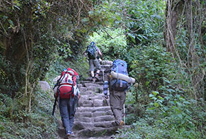 Inca Trail to Mach Picchu