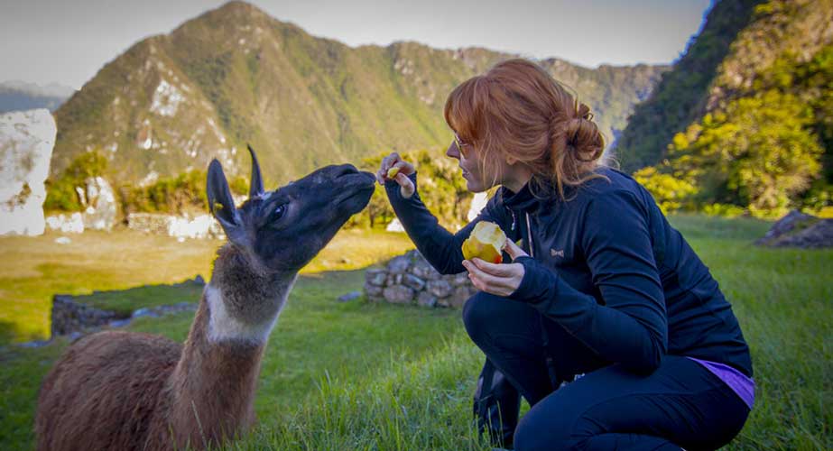 Day 9: AGUAS CALIENTES: EXCURSION TO MACHUPICCHU- CUSCO