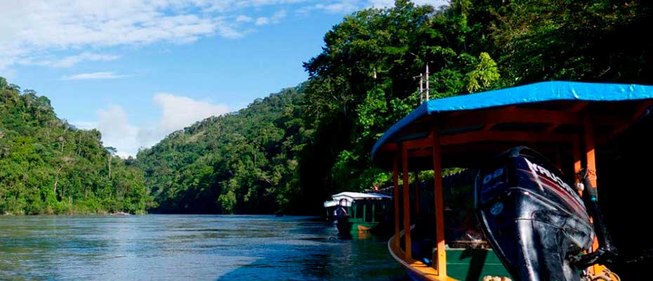 Day 3: AMAZON MANU LODGE - HOT SPRING - CUSCO