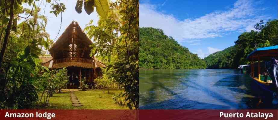 Day 4: AMAZON LODGE - CUSCO